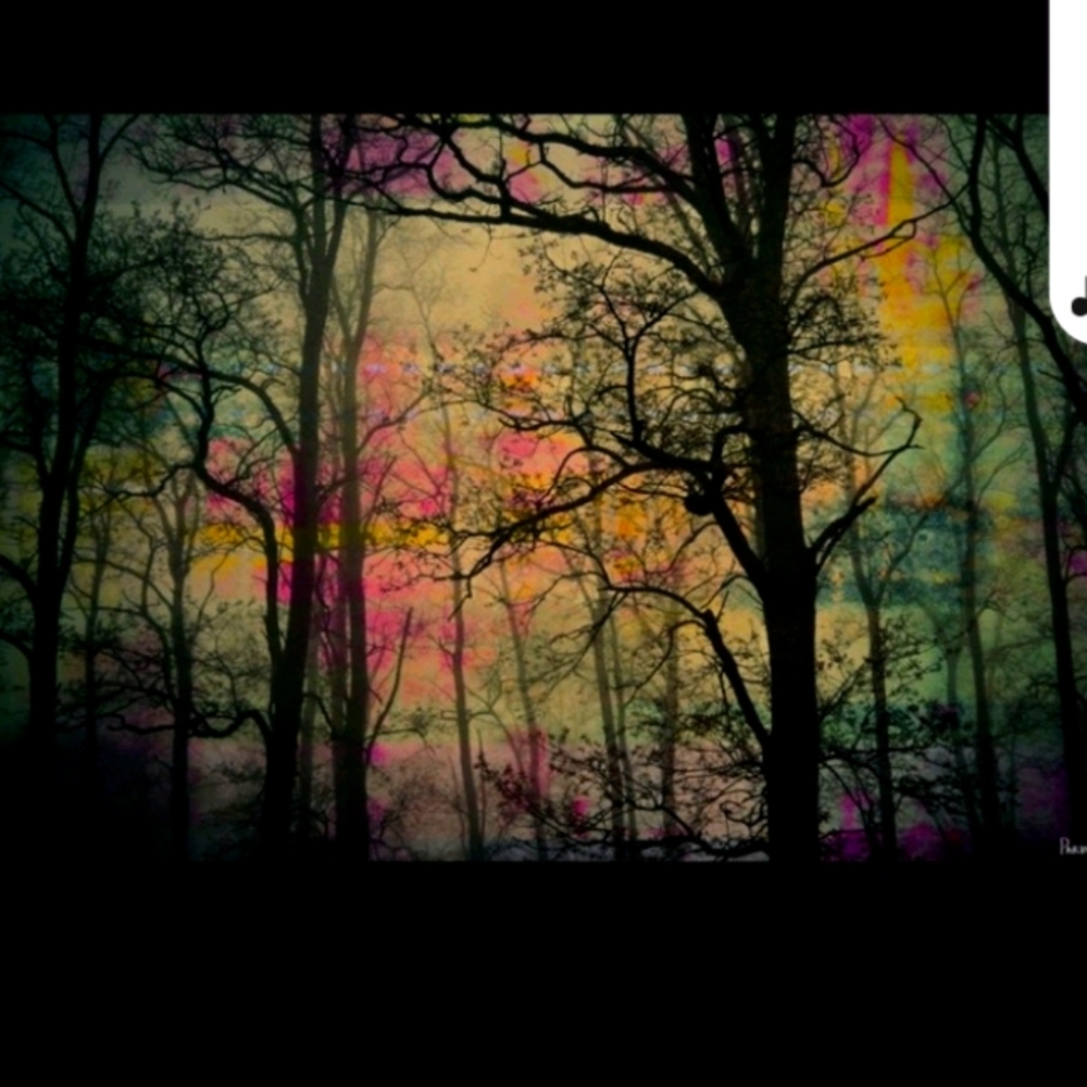 Parvez Taj dark wooded canvas Print